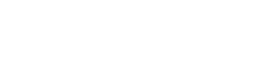 Chief Architect